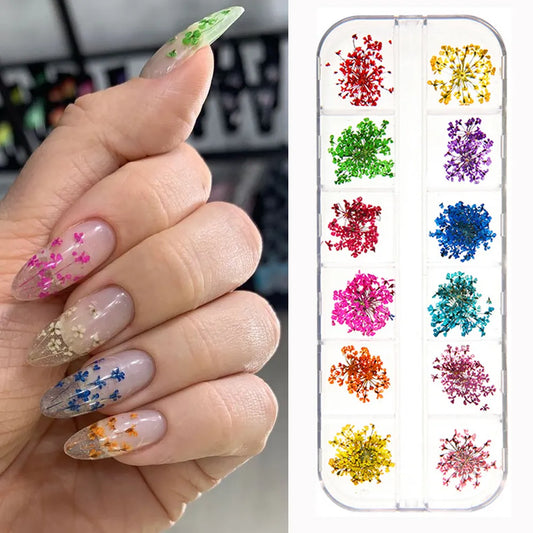 1Box 3D Dried Flower Nail Decoration Natural Floral Sticker Mixed Dry Flower DIY Colorful Decals Jewelry UV Gel Polish Manicure*