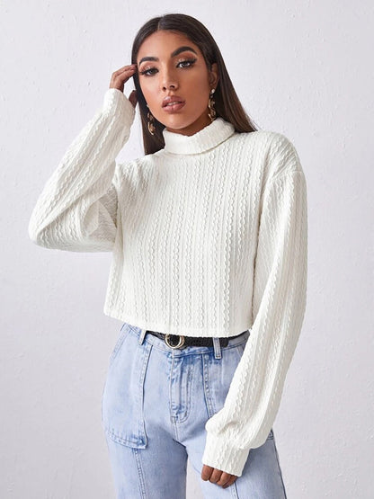 Turtleneck Long Sleeve Top