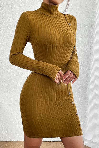 Turtleneck Long Sleeve Mini Dress